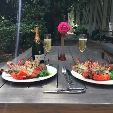 De Haen - Prive-appartementen 43 Of 60 M2 Met Tweepersoons Bubbelbad - Finse Sauna - In Westvleugel Luxe דירה *