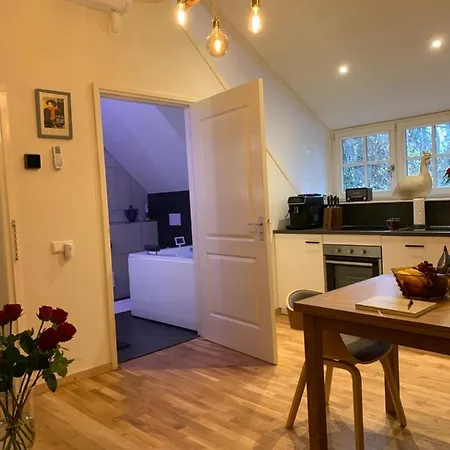 De Haen - Privé-appartementen 43 Of 60 M2 Met Tweepersoons Bubbelbad - Finse Sauna - In Westvleugel Luxe Apartamento