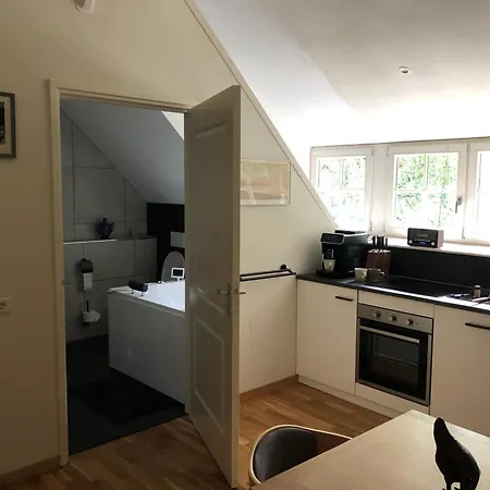 De Haen - Prive-appartementen 43 Of 60 M2 Met Tweepersoons Bubbelbad - Finse Sauna - In Westvleugel Luxe דירה אוס