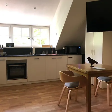 De Haen - Prive-appartementen 43 Of 60 M2 Met Tweepersoons Bubbelbad - Finse Sauna - In Westvleugel Luxe 公寓 奥斯