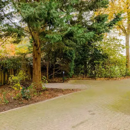 דירה De Haen - Prive-appartementen 43 Of 60 M2 Met Tweepersoons Bubbelbad - Finse Sauna - In Westvleugel Luxe *