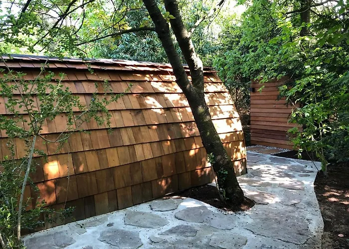 De Haen - Prive-appartementen 43 Of 60 M2 Met Tweepersoons Bubbelbad - Finse Sauna - In Westvleugel Luxe * Oss