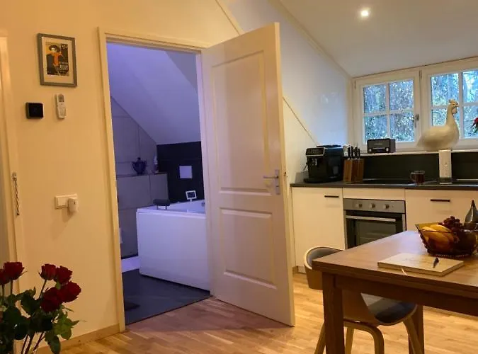 De Haen - Prive-appartementen 43 Of 60 M2 Met Tweepersoons Bubbelbad - Finse Sauna - In Westvleugel Luxe Daire