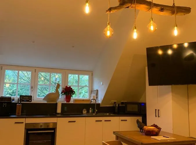 公寓 De Haen - Prive-appartementen 43 Of 60 M2 Met Tweepersoons Bubbelbad - Finse Sauna - In Westvleugel Luxe *