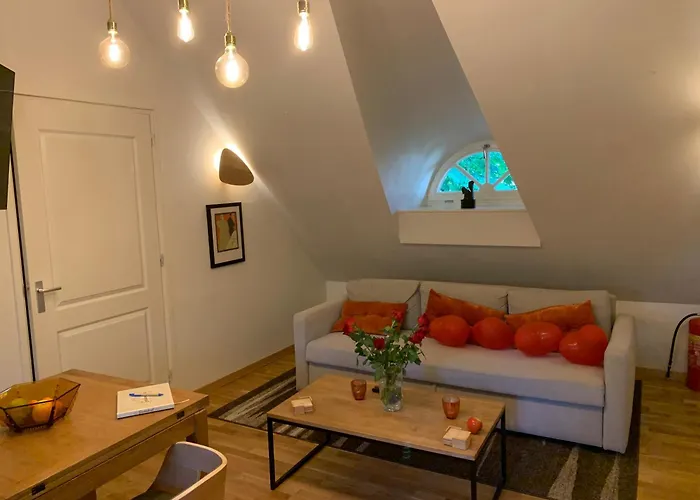 De Haen - Prive-appartementen 43 Of 60 M2 Met Tweepersoons Bubbelbad - Finse Sauna - In Westvleugel Luxe