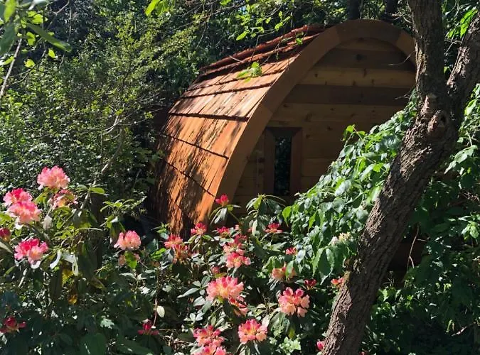 De Haen - Privé-appartementen 43 Of 60 M2 Met Tweepersoons Bubbelbad - Finse Sauna - In Westvleugel Luxe Appartement