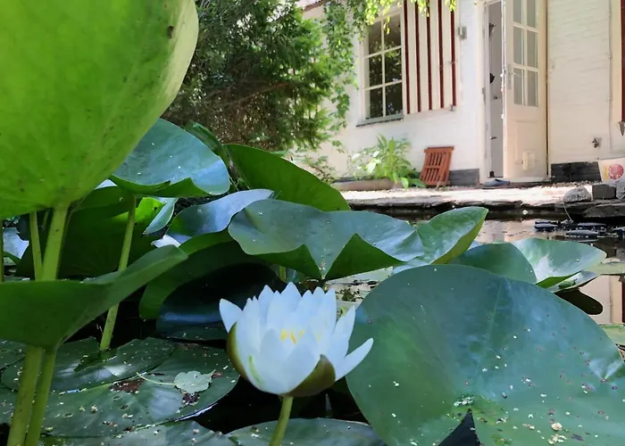 De Haen - Privé-appartementen 43 Of 60 M2 Met Tweepersoons Bubbelbad - Finse Sauna - In Westvleugel Luxe Appartement *