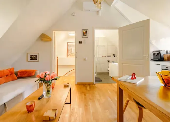 De Haen - Privé-appartementen 43 Of 60 M2 Met Tweepersoons Bubbelbad - Finse Sauna - In Westvleugel Luxe Appartement Oss